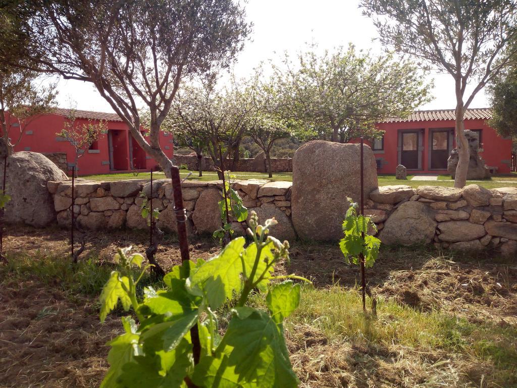 Turismo Rurale L'Agliuledda Villa Sant'Antonio di Gallura Bagian luar foto