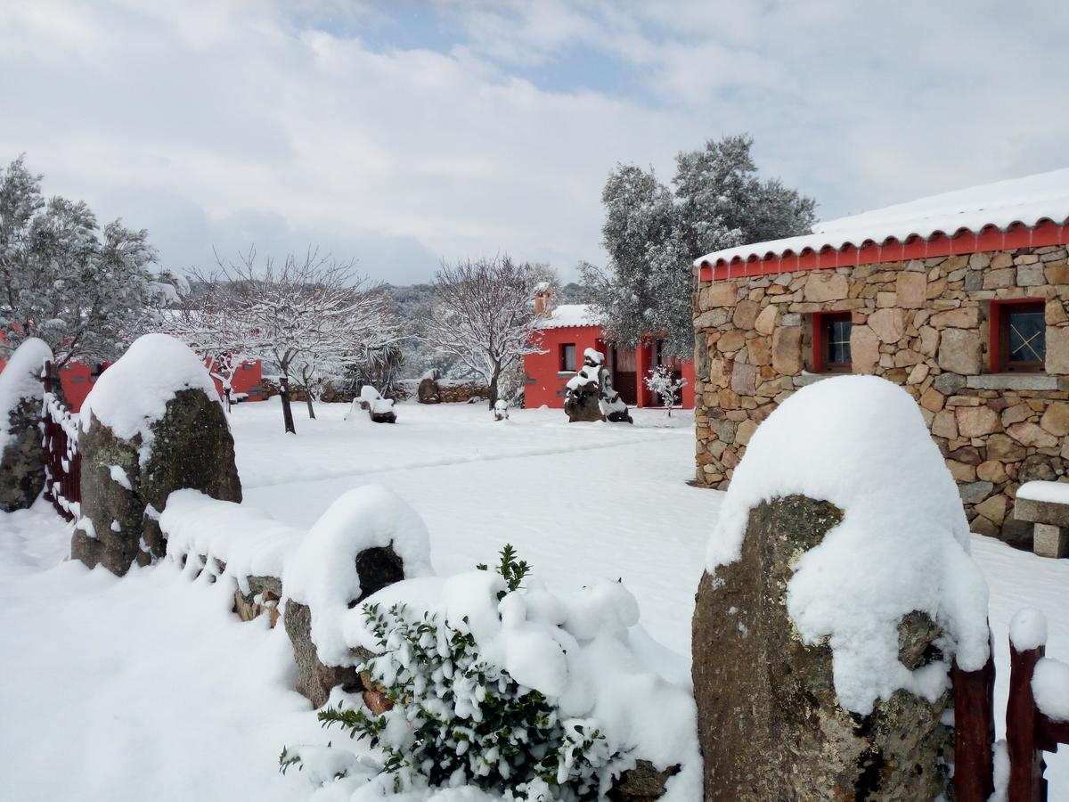 Turismo Rurale L'Agliuledda Villa Sant'Antonio di Gallura Bagian luar foto